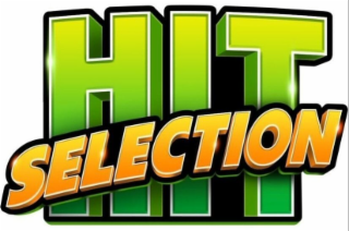HIT SELECTION logo