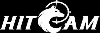 HITCAM logo