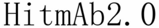 HITMAB2.0 logo