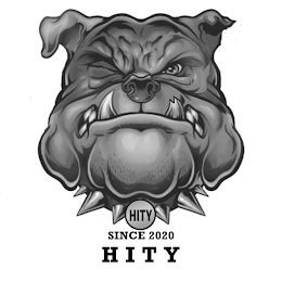 HITY SINCE 2020 HITY