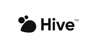 HIVE logo