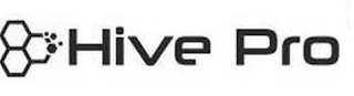 HIVE PRO logo