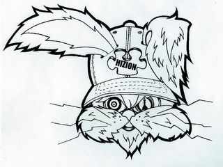HIZION logo