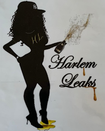 HL HARLEM LEAKS NY logo