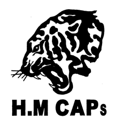 H.M. CAPS