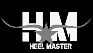 HM HEEL MASTER logo