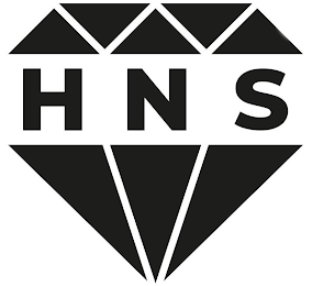 HNS logo