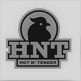 HNT HOT N' TENDER logo