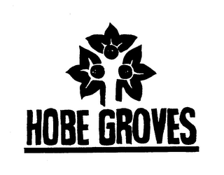 HOBE GROVES logo