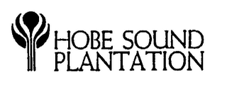 HOBE SOUND PLANTATION logo