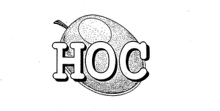 HOC logo