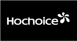 HOCHOICE logo