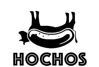 HOCHOS logo