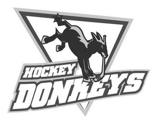 HOCKEY DONKEYS logo
