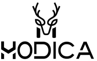 HODICA logo