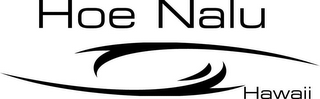 HOE NALU HAWAII logo