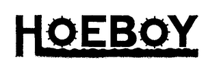 HOEBOY logo