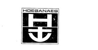 HOEGANAES logo