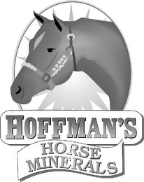 HOFFMAN'S HORSE MINERALS logo