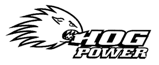 HOG POWER logo
