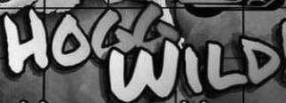 HOGG WILD logo