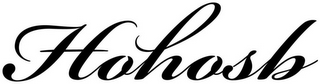 HOHOSB logo