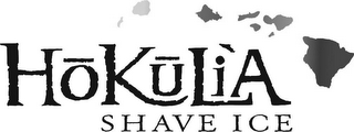 HOKULIA SHAVE ICE logo