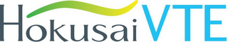 HOKUSAI VTE logo