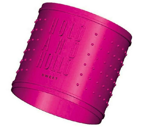 HOLD AND HOLLO logo