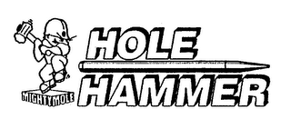 HOLE HAMMER logo
