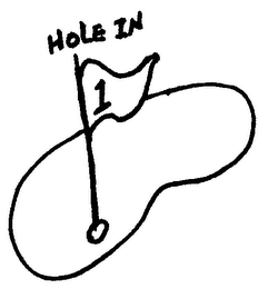 HOLE IN 1 logo