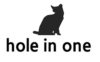HOLE IN ONE logo