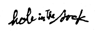 HOLE IN THE SOCK logo