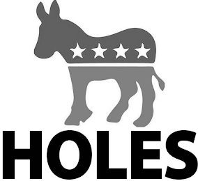 HOLES logo