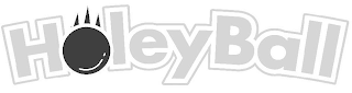 HOLEYBALL logo