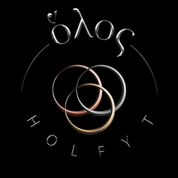 HOLFYT logo
