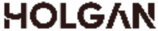 HOLGAN logo