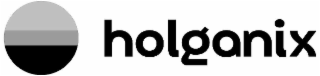 HOLGANIX logo