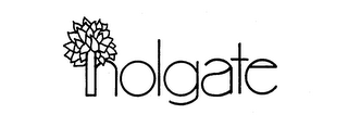 HOLGATE logo