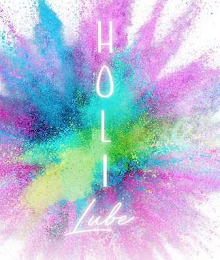 HOLI LUBE logo