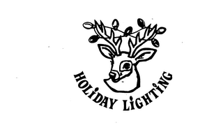 HOLIDAY LIGHTING logo