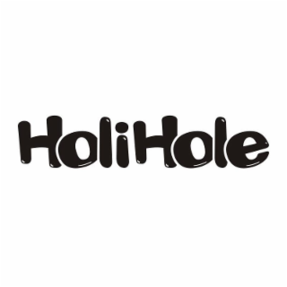 HOLIHOLE logo