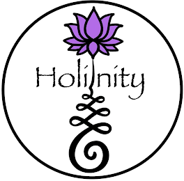 HOLINITY logo
