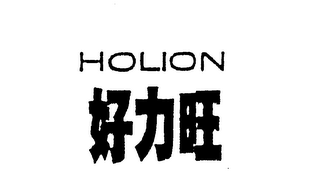 HOLION logo