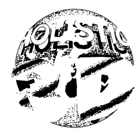 HOLISTIC 3D logo