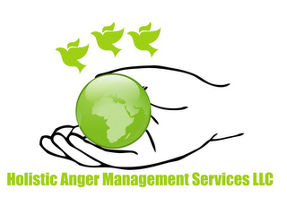HOLISTIC ANGER MANAGEMENT SERVICES LLC logo