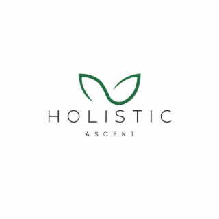 HOLISTIC ASCENT logo