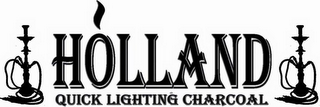 HOLLAND QUICK LIGHTING CHARCOAL logo