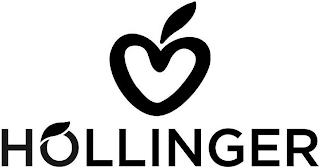HOLLINGER logo