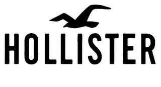 HOLLISTER logo